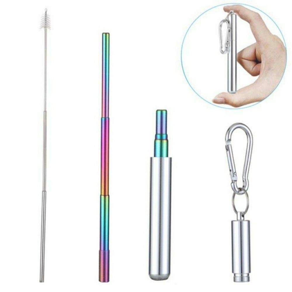 Rainbow Metal Telescopic Straw & Carry Case New